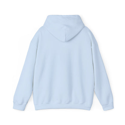 Light Blue hoodie – back view displaying hood down.