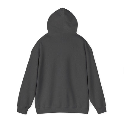 Dark Heather hoodie – back view displaying hood up.