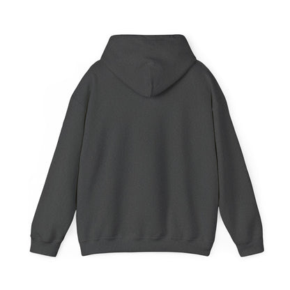 Dark Heather hoodie – back view displaying hood down.