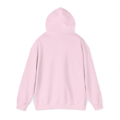 Light Pink hoodie – back view displaying hood up.
