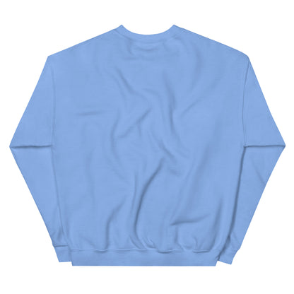 Carolina Blue crewneck sweater – back view.